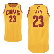 LeBron James #23 Cleveland Cavaliers Authentic Style Alternate Gold Jersey